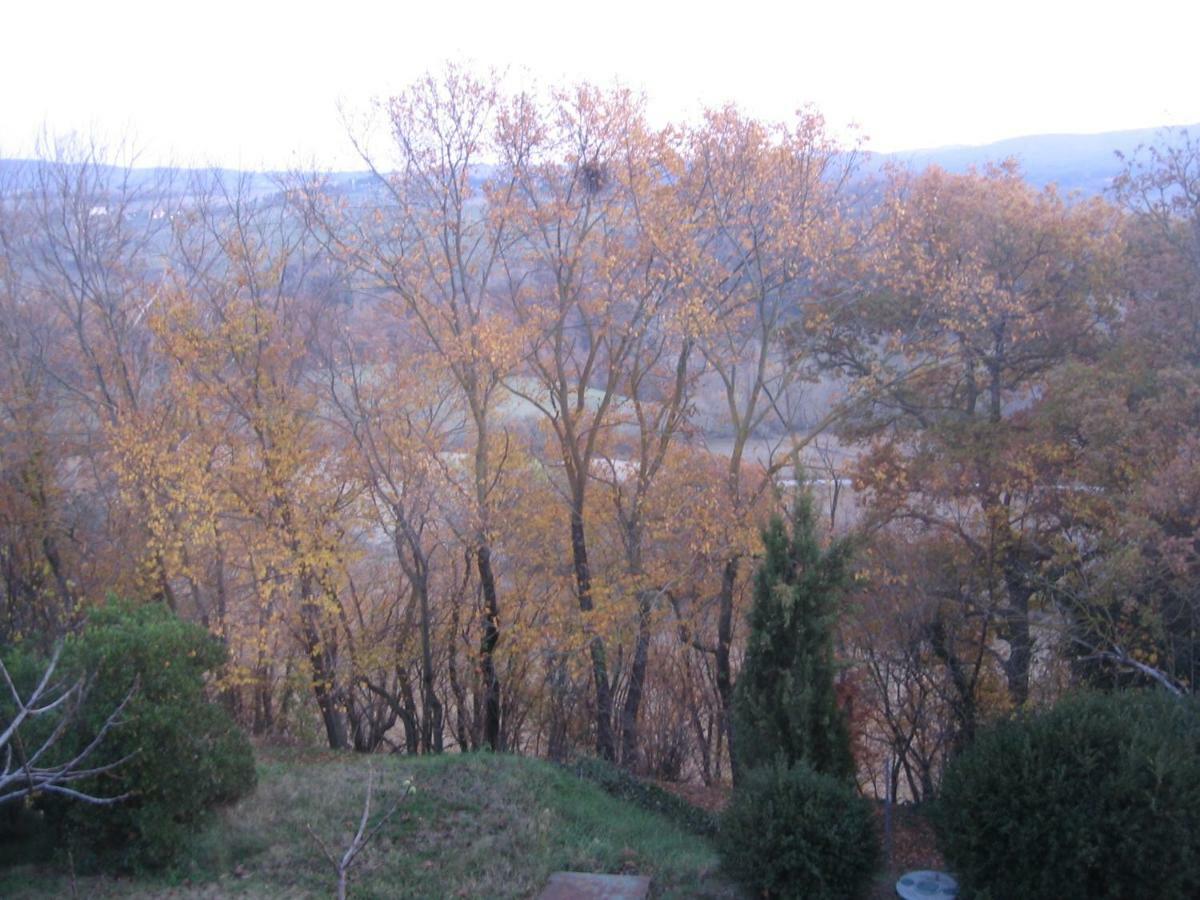 S. Bartolomeo Ii° - "La Loggetta" Apartment Montepulciano Bagian luar foto